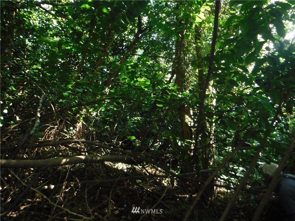 0 Adams Street Hoquiam, WA 98550 - Photo 4 of 4