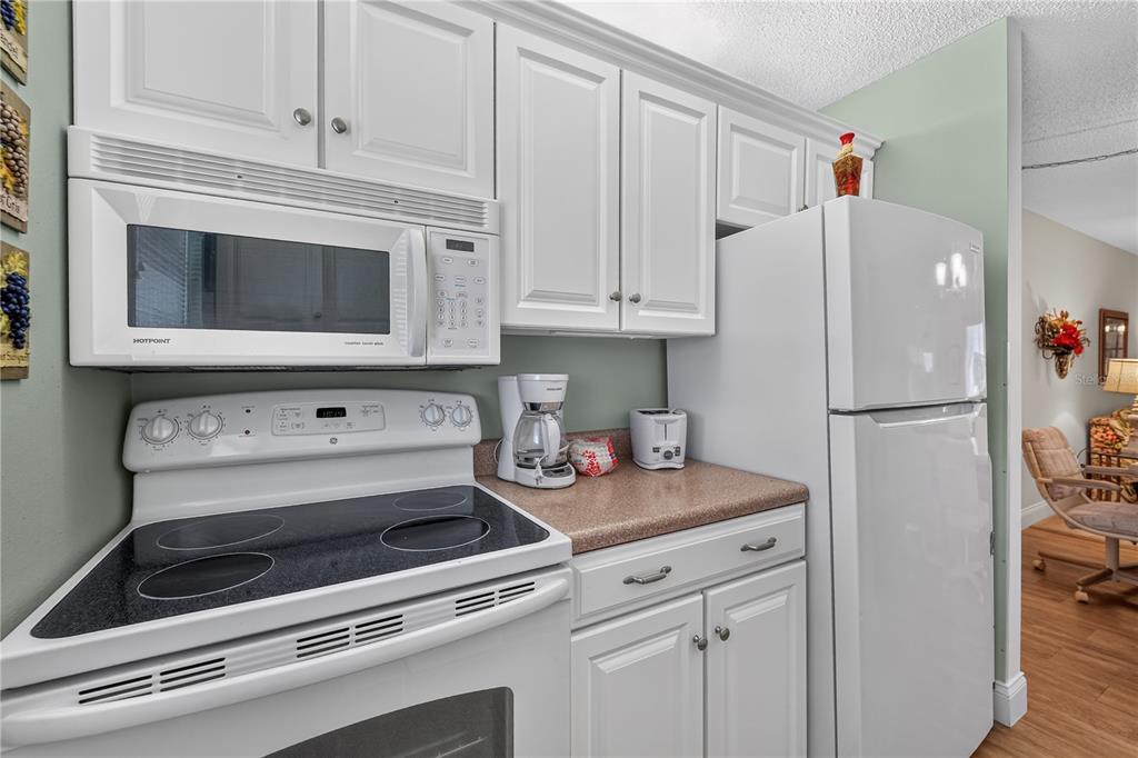 4801 Airport Road, Unit 119 Zephyrhills, FL 33542 - Photo 4 of 15