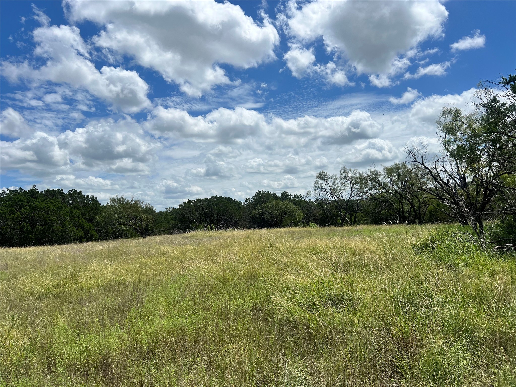 2452 Stone Creek Ranch Drive Evant, TX 76525 - Photo 2 of 19 View of the cleared Homesite