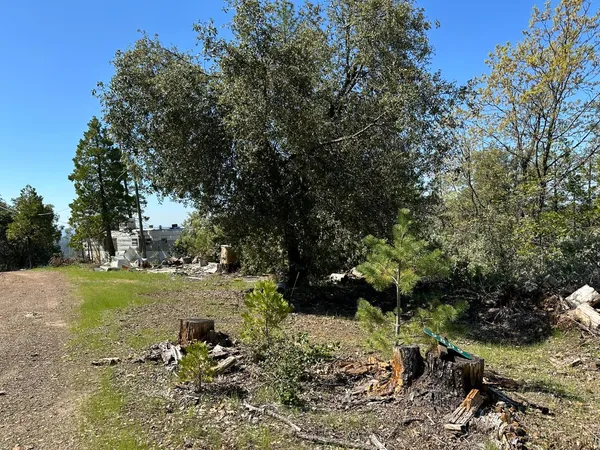 $80,000 | 9809 Wildrose Lane, Coulterville, CA 95311