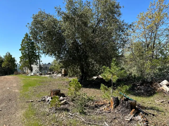 $80,000 | 9809 Wildrose Lane, Coulterville, CA 95311