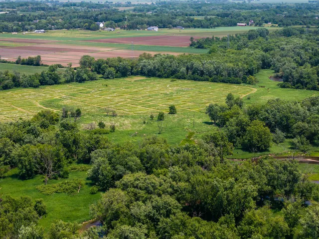 a view of a lush green forest with a houses