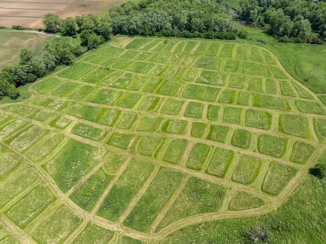 an aerial view of green landscape with trees houses and mountain view