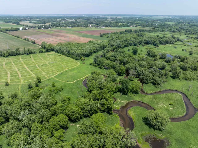 an aerial view of green landscape with trees