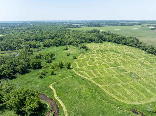 a view of a green field with lots of bushes
