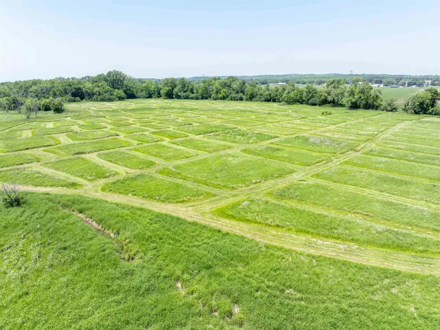 a view of a grassy field with trees in the background