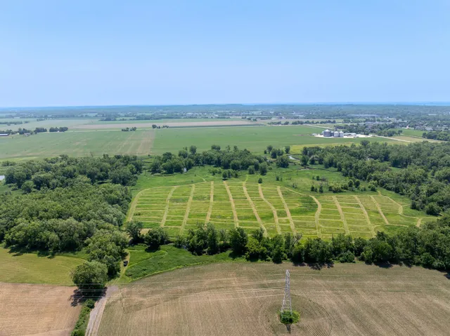 an aerial view of green landscape with trees houses and lake view
