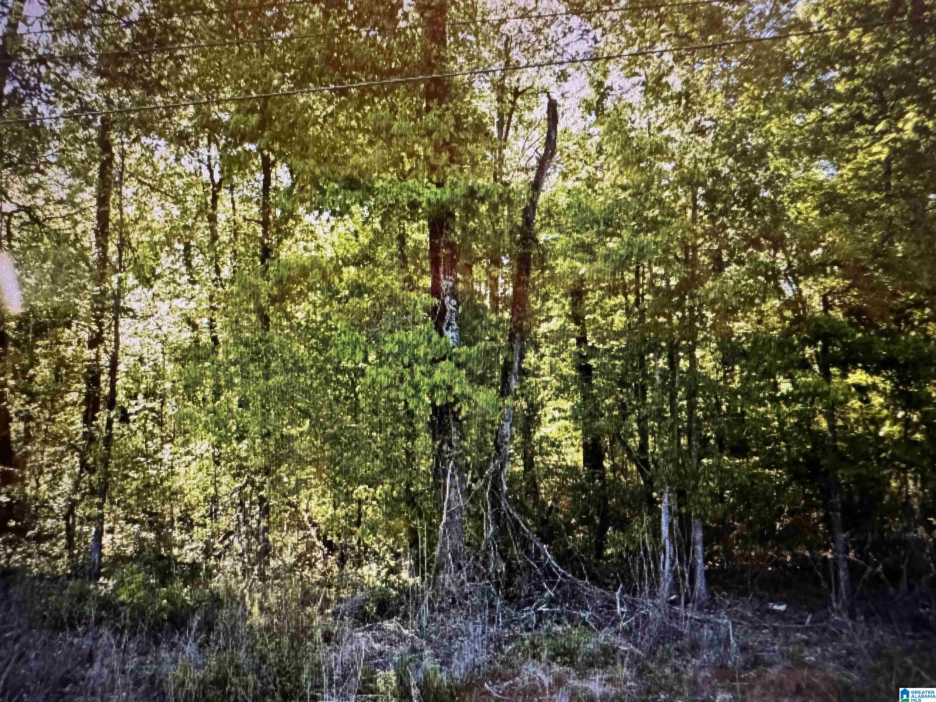 5948 Service Road Birmingham, AL 35235 - Photo 1 of 1