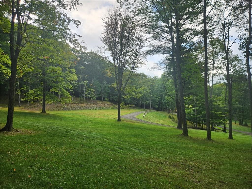 316 Seminary Road Hartwick, NY 13807 - Photo 19 of 23