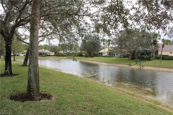 a view of a park with large trees