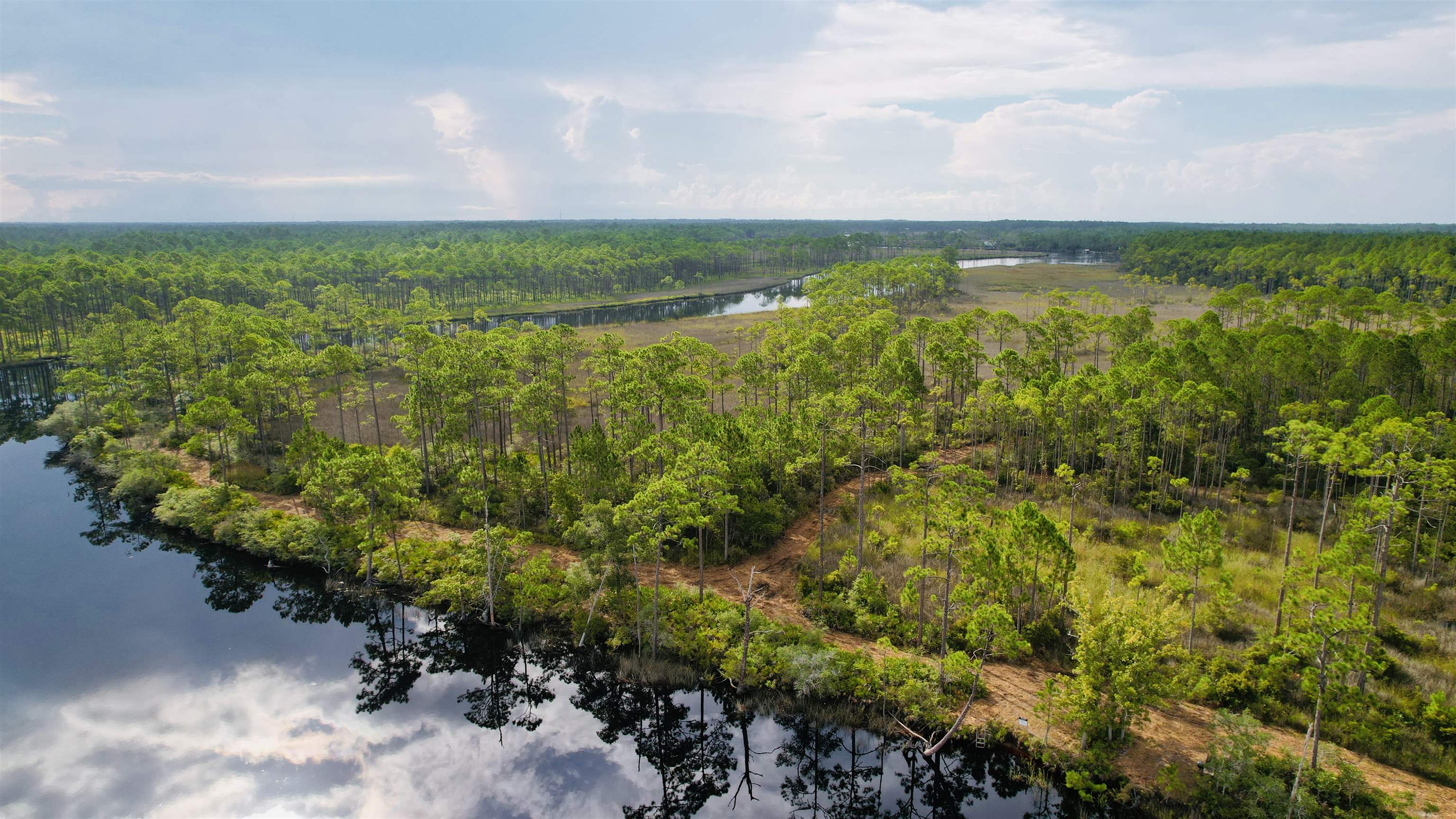 Xx Mill Road Carrabelle, FL 32322 - Photo 4 of 17