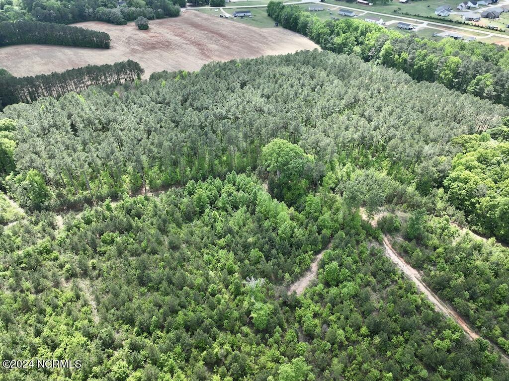 0 Buck Road Middlesex, NC 27557 - Photo 37 of 51 019