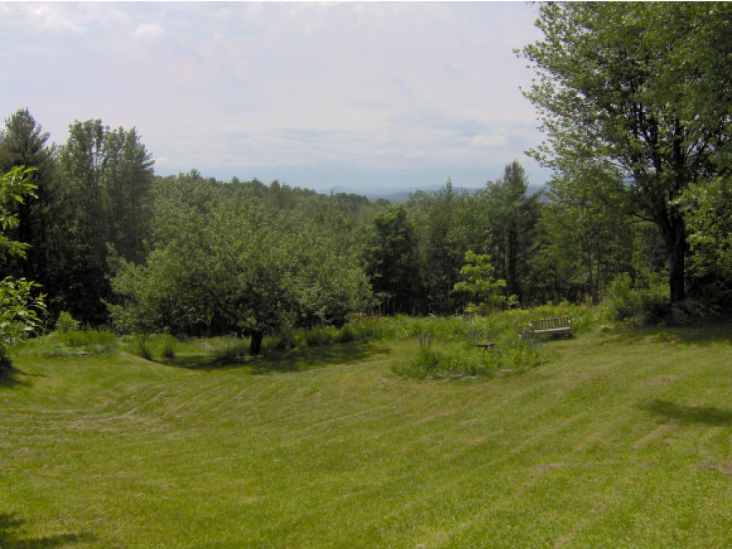 48 Clay White Hill Road Tunbridge, VT 05061 - Photo 3 of 10