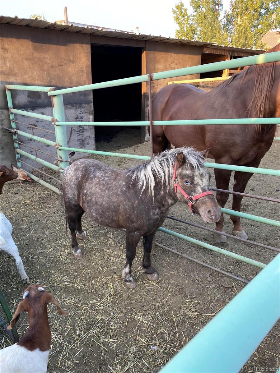 3925 Cottonwood Lane Brighton, CO 80603 - Photo 5 of 9