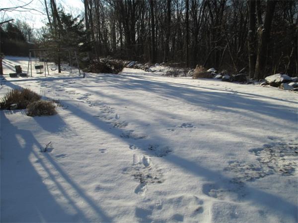 20 Chestnut Street Grafton, MA 01519 - Photo 18 of 30 Gallery Image 18