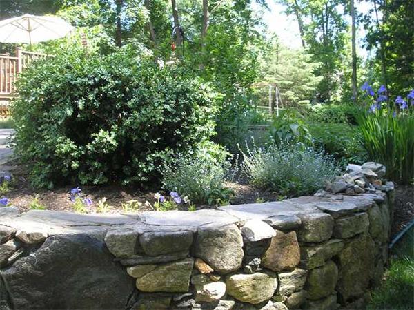 20 Chestnut Street Grafton, MA 01519 - Photo 21 of 30 Gallery Image 21