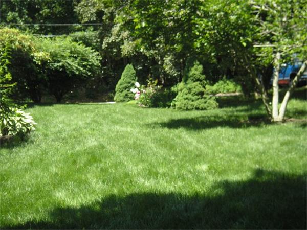 20 Chestnut Street Grafton, MA 01519 - Photo 24 of 30 Gallery Image 24