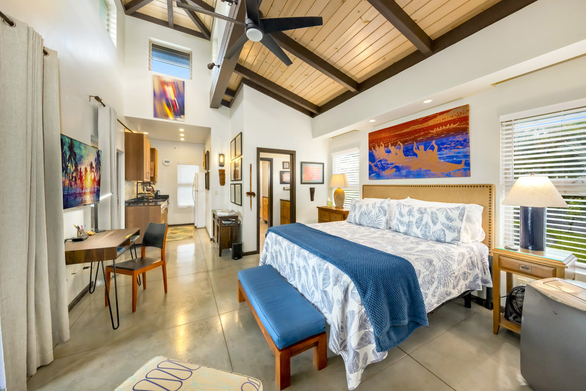12-7124 Kalapana Kapoho Beach Road Pahoa, HI 96778 - Photo 17 of 30 a spacious bedroom with a bed a bookshelf and a bookshelf