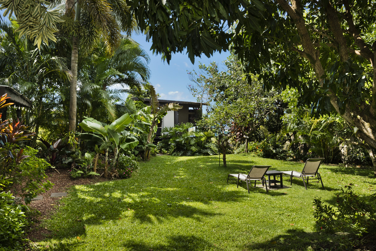 12-7124 Kalapana Kapoho Beach Road Pahoa, HI 96778 - Photo 21 of 30 a green field with lots of trees