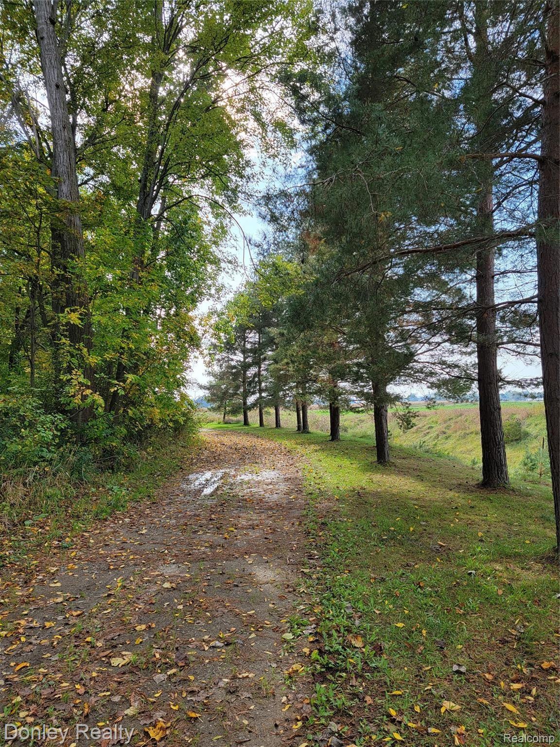 5752 West Marlette Road Marlette, MI 48453 - Photo 41 of 52 20211011_153907.jpg