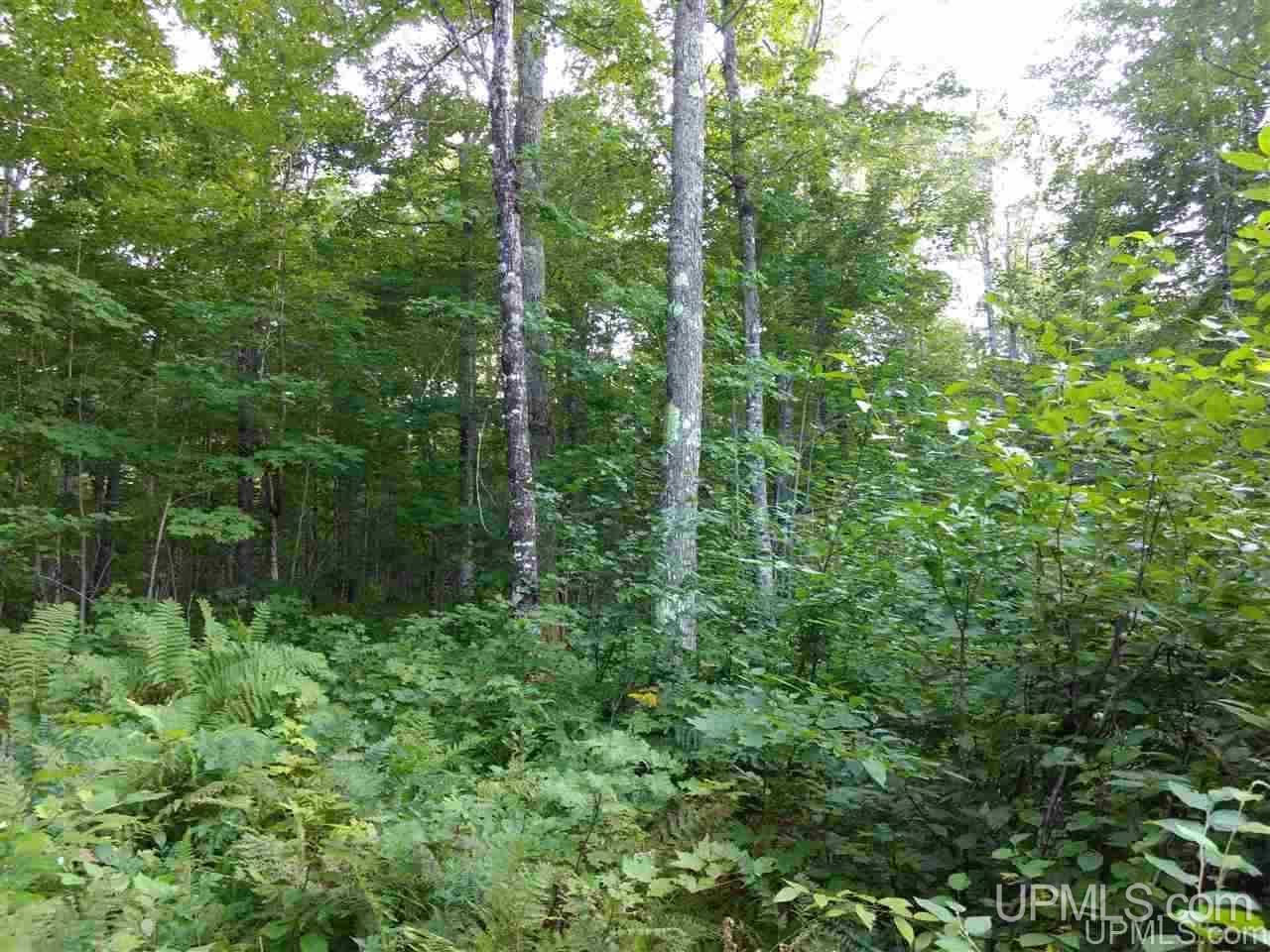 Tbd Sandstone B Road Lake Linden, MI 49945 - Photo 40 of 50
