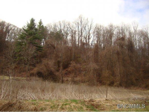 0 Abbott Road Canton, NC 28716 - Photo 1 of 3