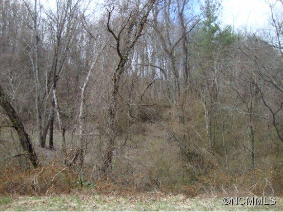 0 Abbott Road Canton, NC 28716 - Photo 2 of 3