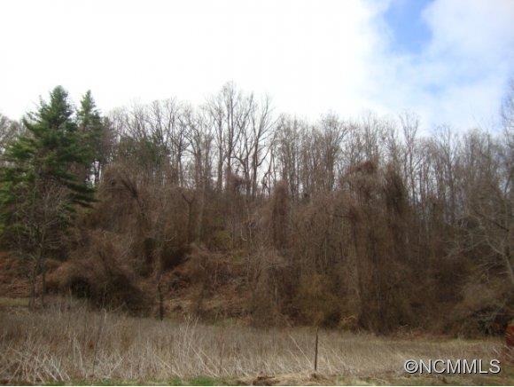 0 Abbott Road Canton, NC 28716 - Photo 3 of 3