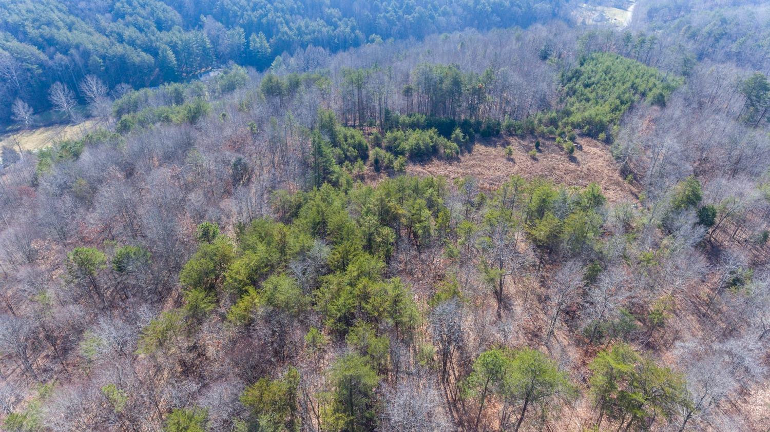 1077 Red Hill Road Livingston, KY 40445 - Photo 15 of 28 Listing Photo
