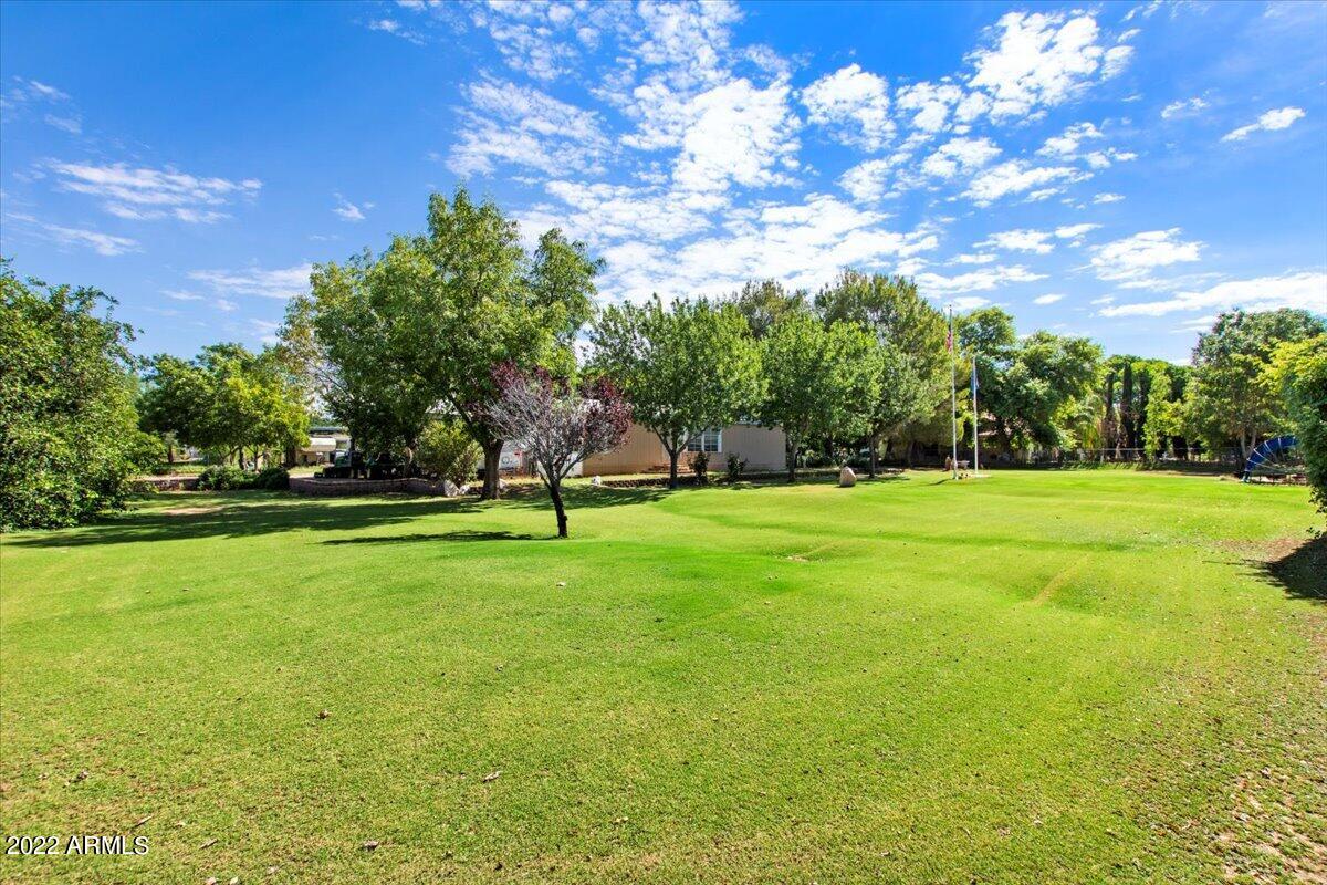 4734 East Rolling Ridge Road San Tan Valley, AZ 85140 - Photo 23 of 26 24-Backyard