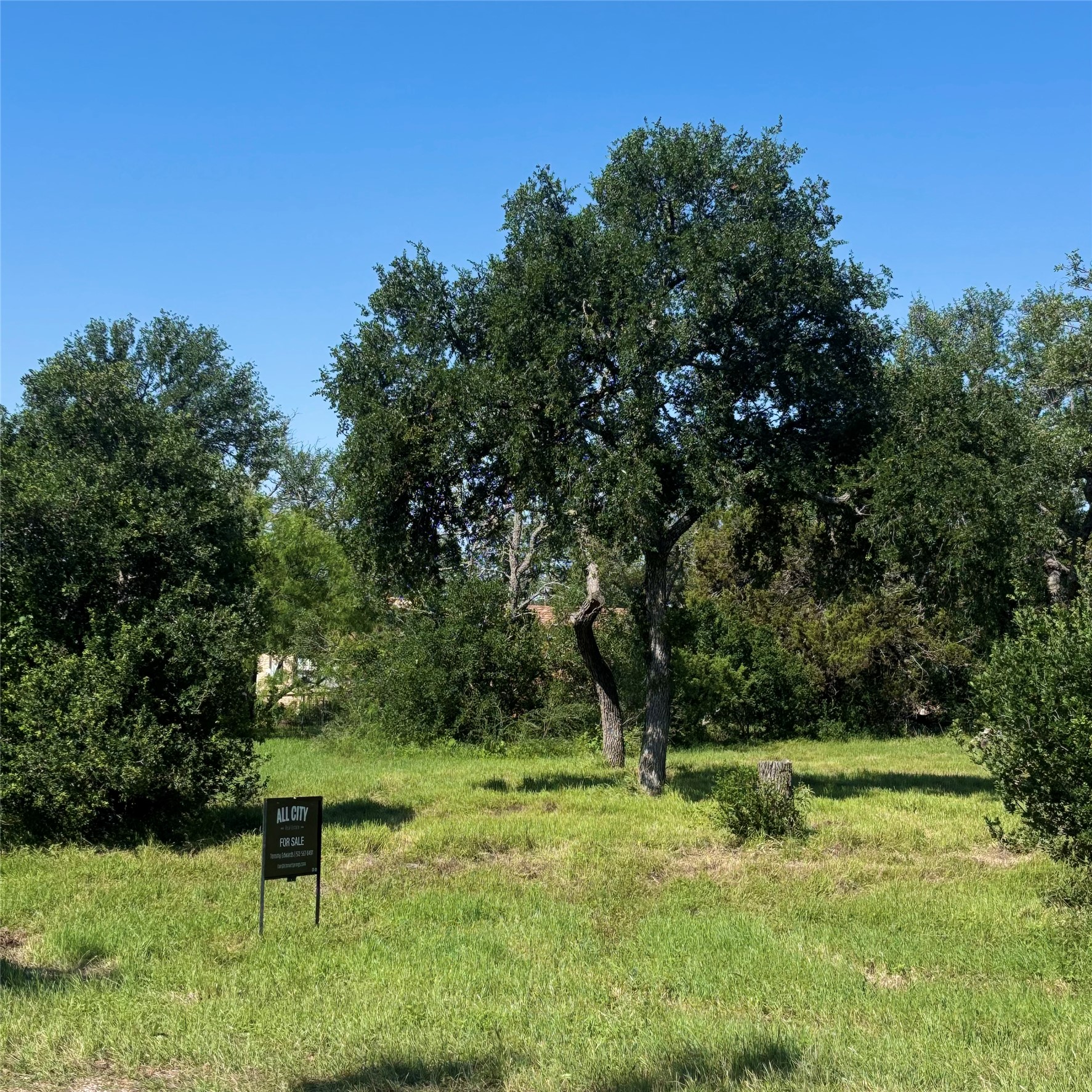 138 (frontier) Road Burnet, TX 78611 - Photo 4 of 6 a backyard of a house with lots of green space