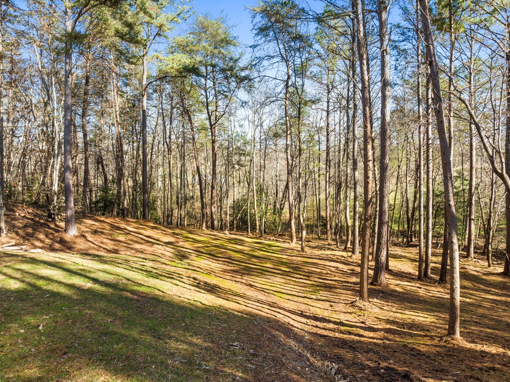 41 Brumby Trail Ellijay, GA 30536 - Photo 8 of 39