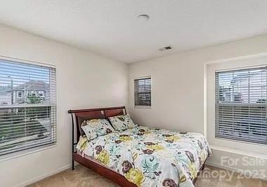 3602 Cannold Court Raleigh, NC 27610 - Photo 9 of 14 Gallery Image 9