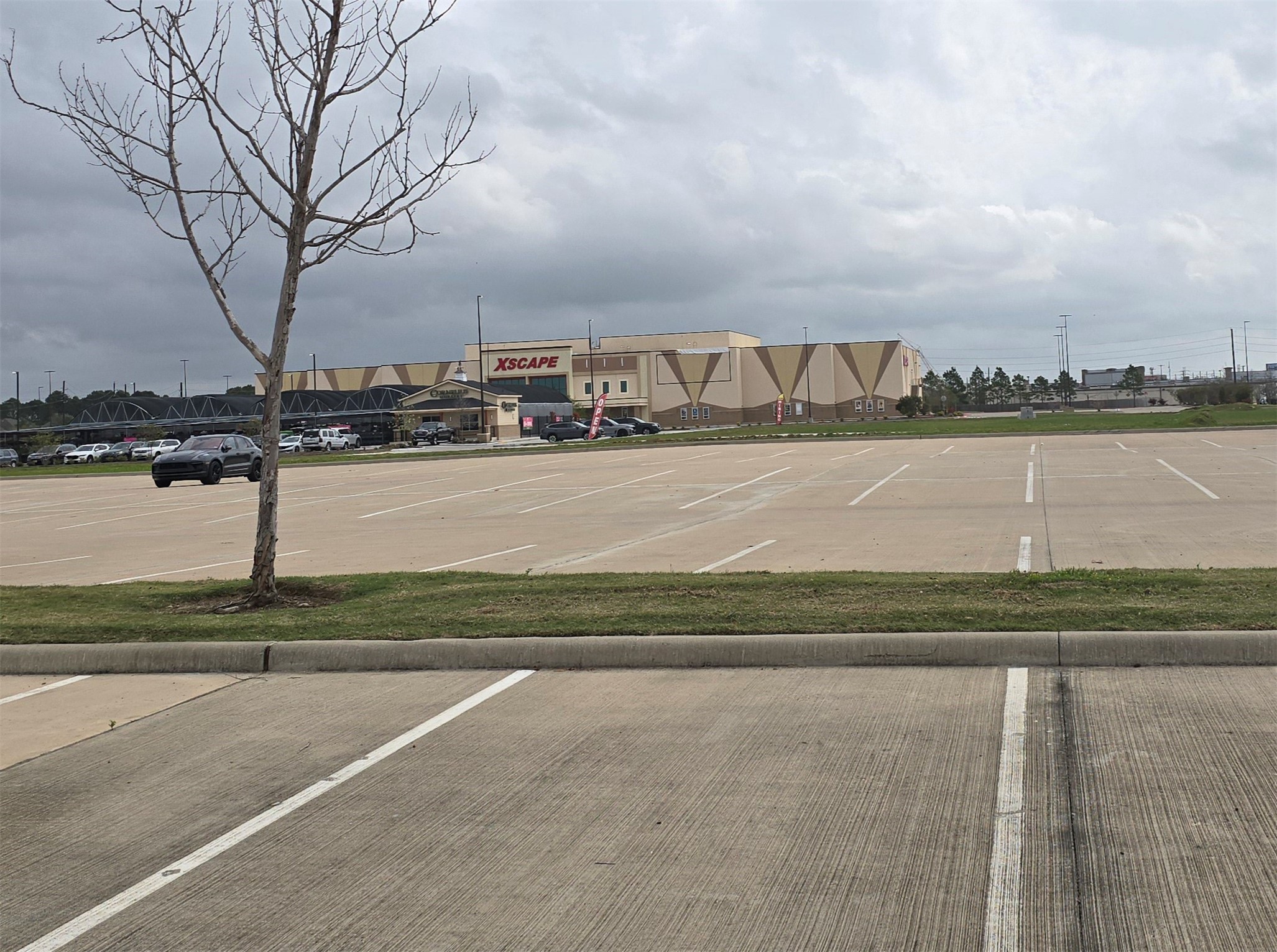 7514 Dixon Road Fulshear, TX 77441 - Photo 11 of 13 a view of a water pond with lots of trees