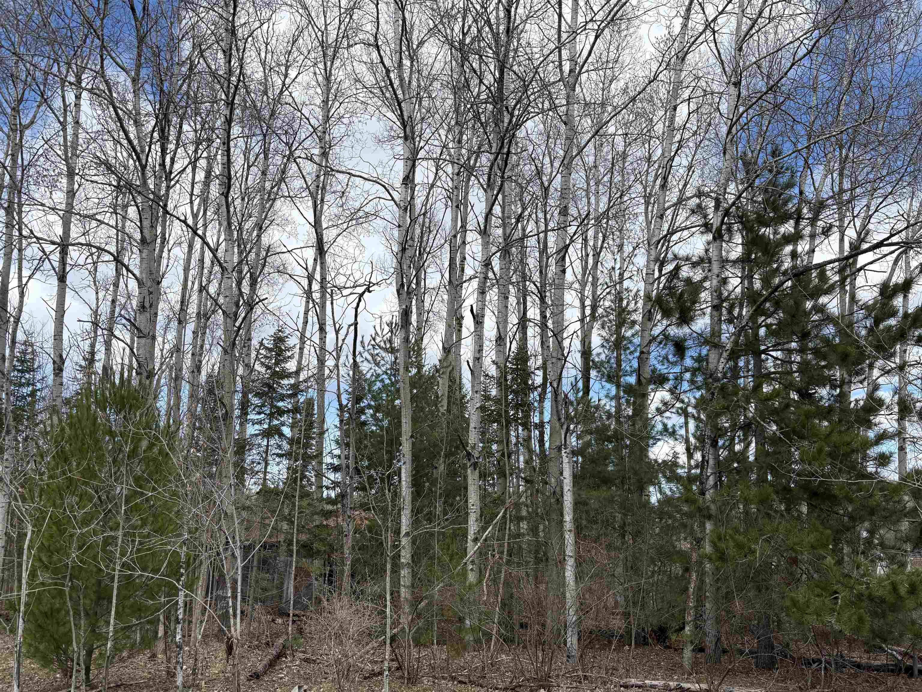 2450 North Marshall Road Beulah, MI 49617 - Photo 14 of 21