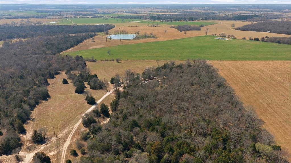 847 VZ County Road Canton, TX 75103 - Photo 10 of 40