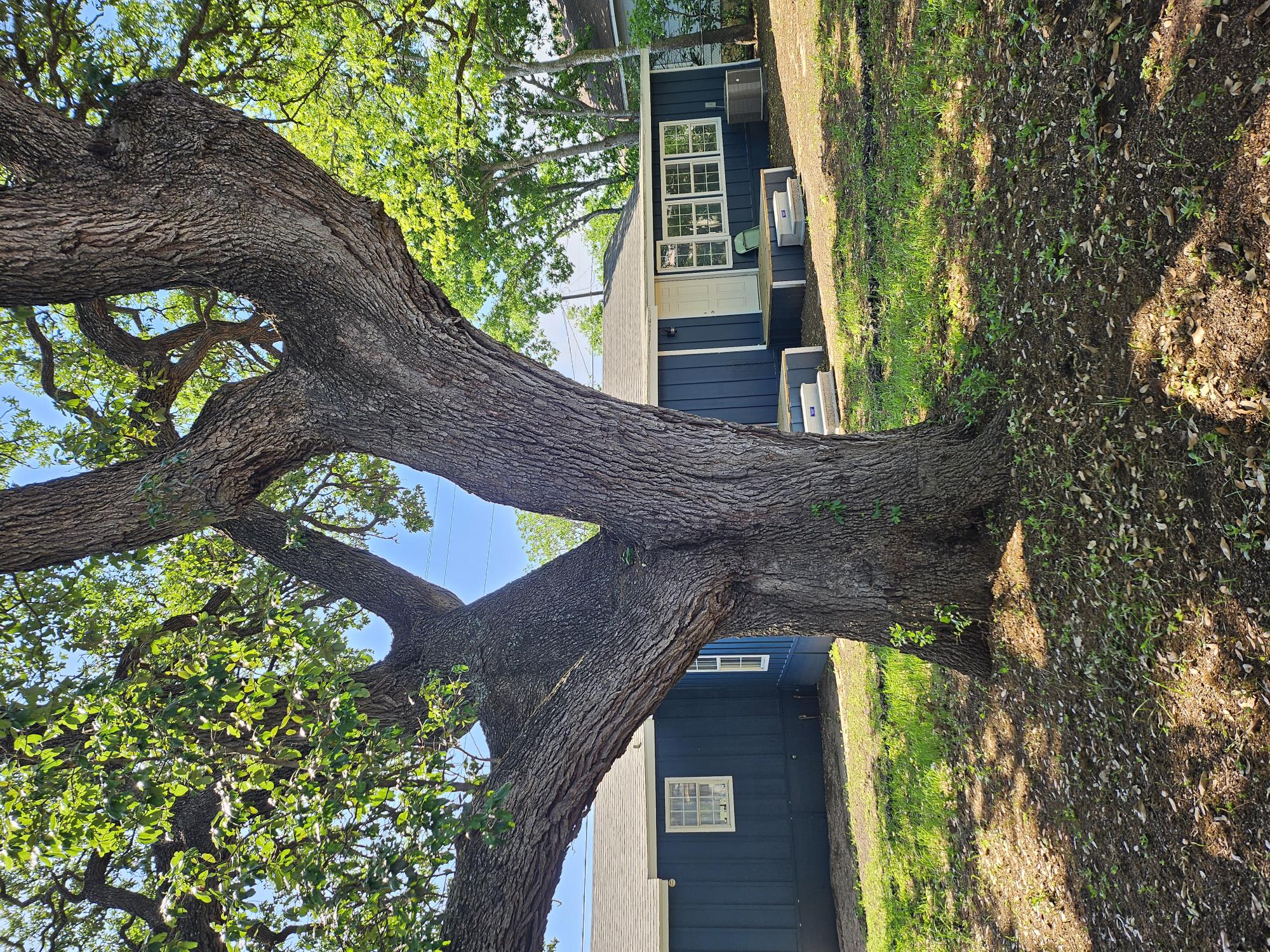 105 North Rhomberg Street Burnet, TX 78611 - Photo 7 of 32