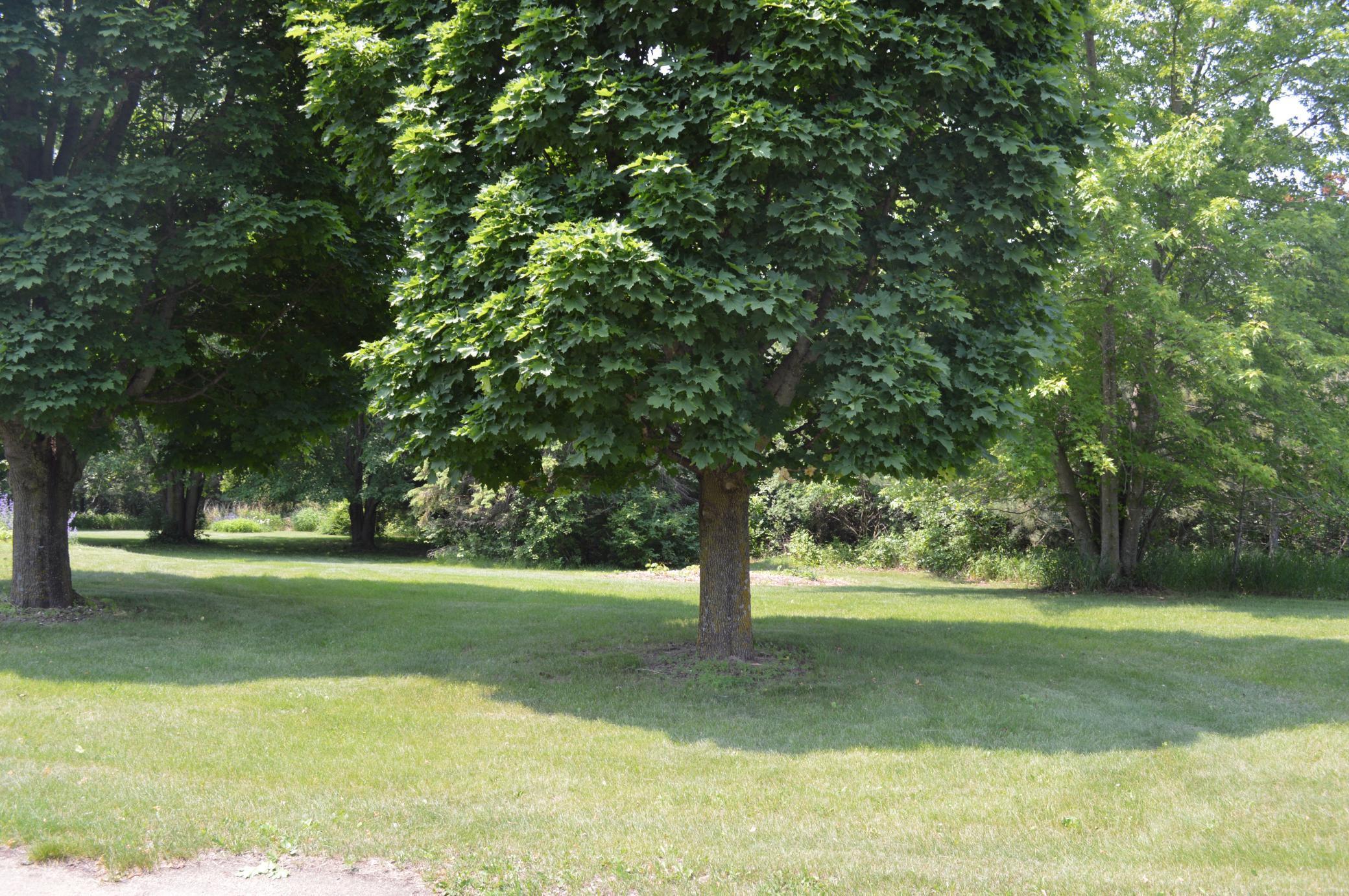 1180 60th Street Southwest Rochester, MN 55902 - Photo 53 of 58