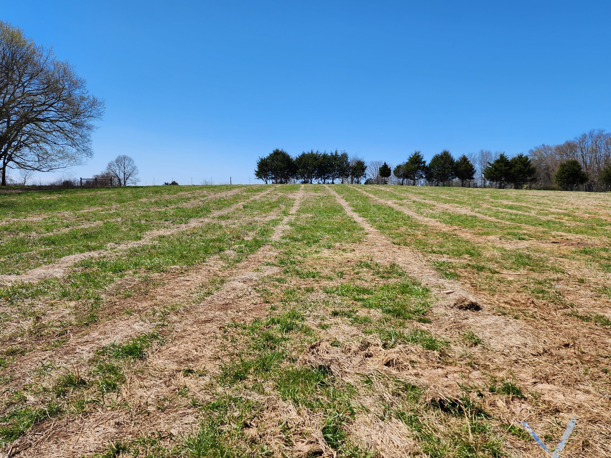 4090 Pyles Road Chapel Hill, TN 37034 - Photo 13 of 15 Gallery Image 13