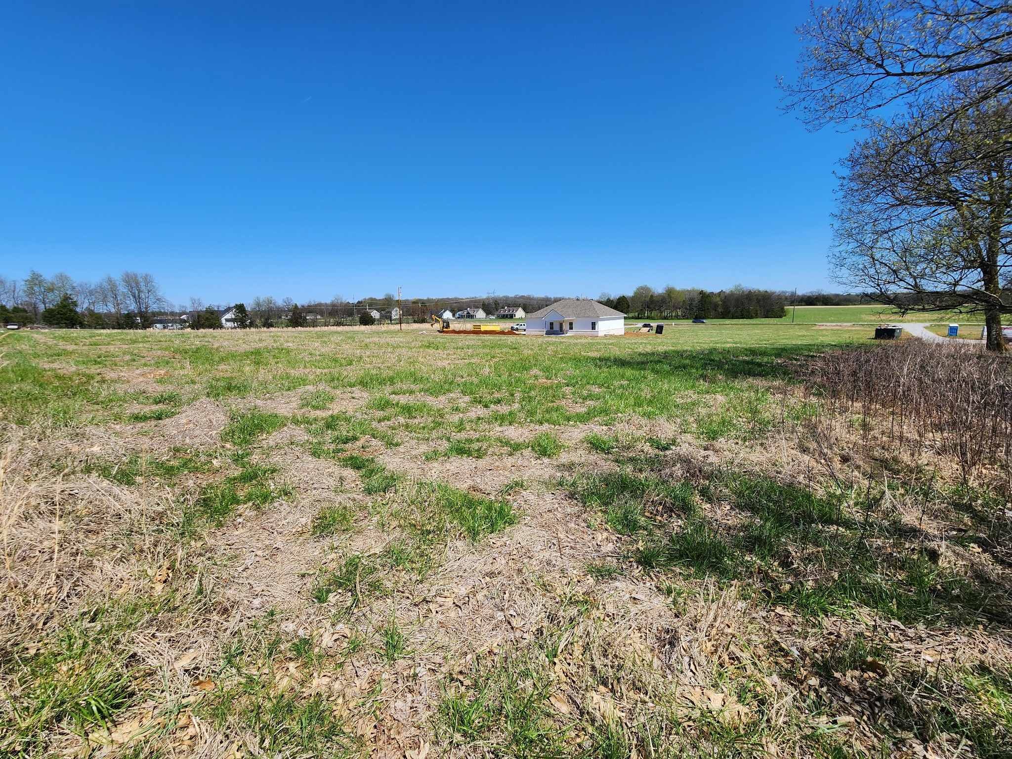 4090 Pyles Road Chapel Hill, TN 37034 - Photo 8 of 15 Gallery Image 8