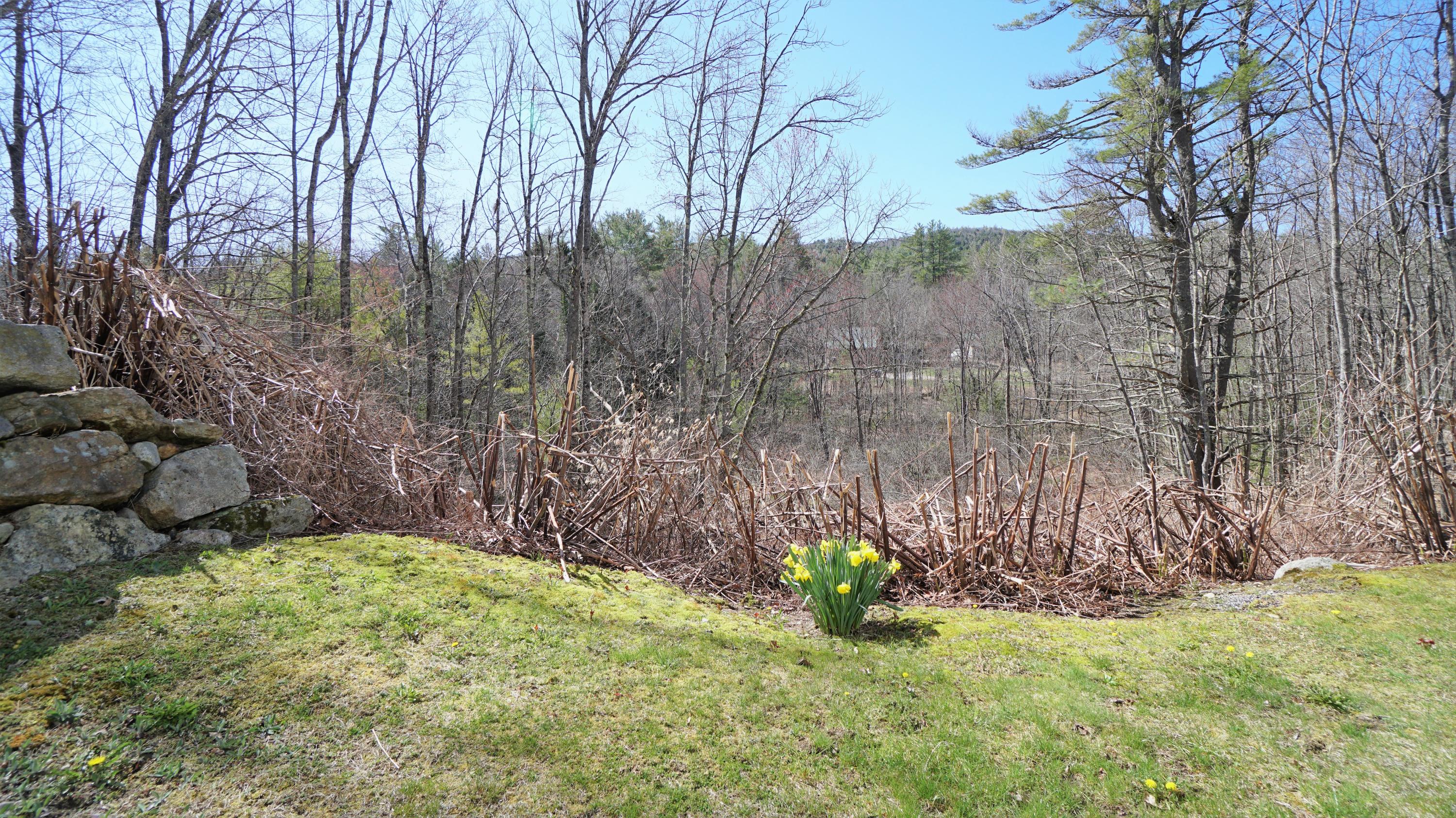 193 Douglas Hill Road Baldwin, ME 04091 - Photo 20 of 84 DSC03108