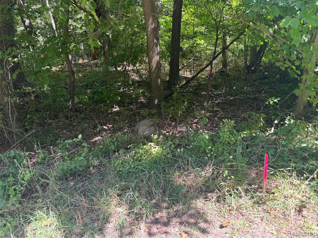 3711 Baldwin Road Metamora, MI 48455 - Photo 70 of 77