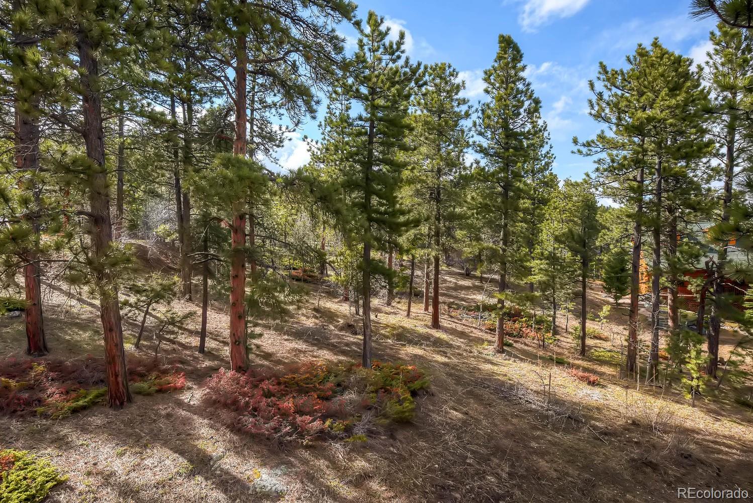 179 Pine Road Golden, CO 80403 - Photo 28 of 28