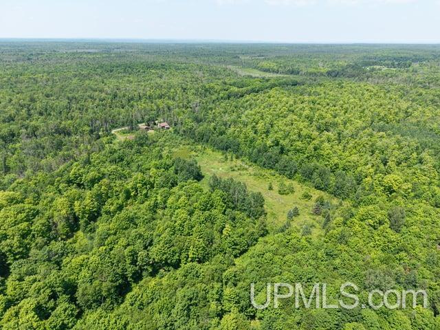 509 Dukes Road Skandia, MI 49885 - Photo 48 of 63