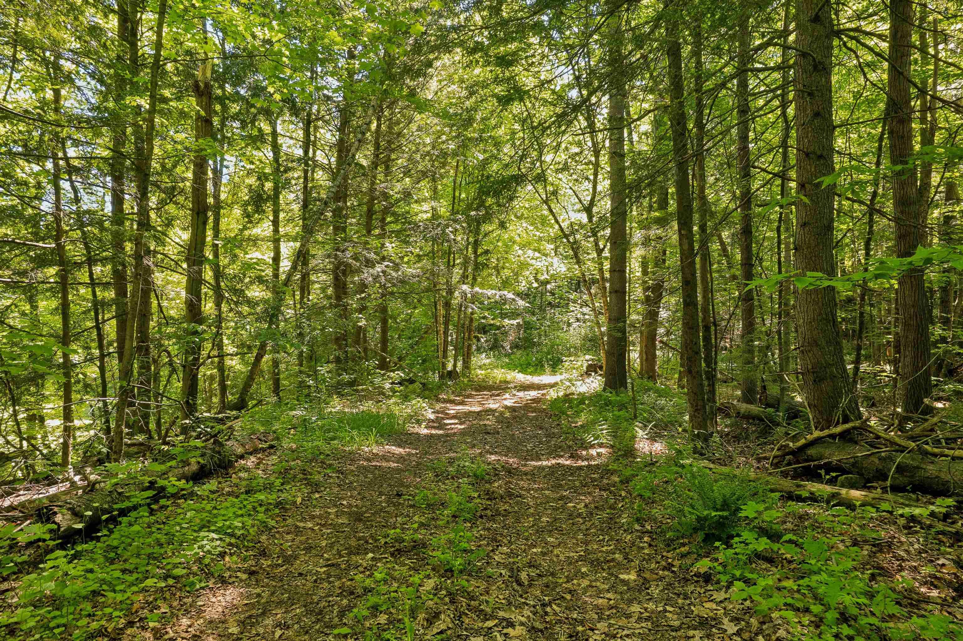 3051 Highway 107 Stockbridge, VT 05772 - Photo 11 of 30
