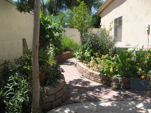 2106 East Victor Road Gilbert, AZ 85296 - Photo 16 of 22 garden on east side of home