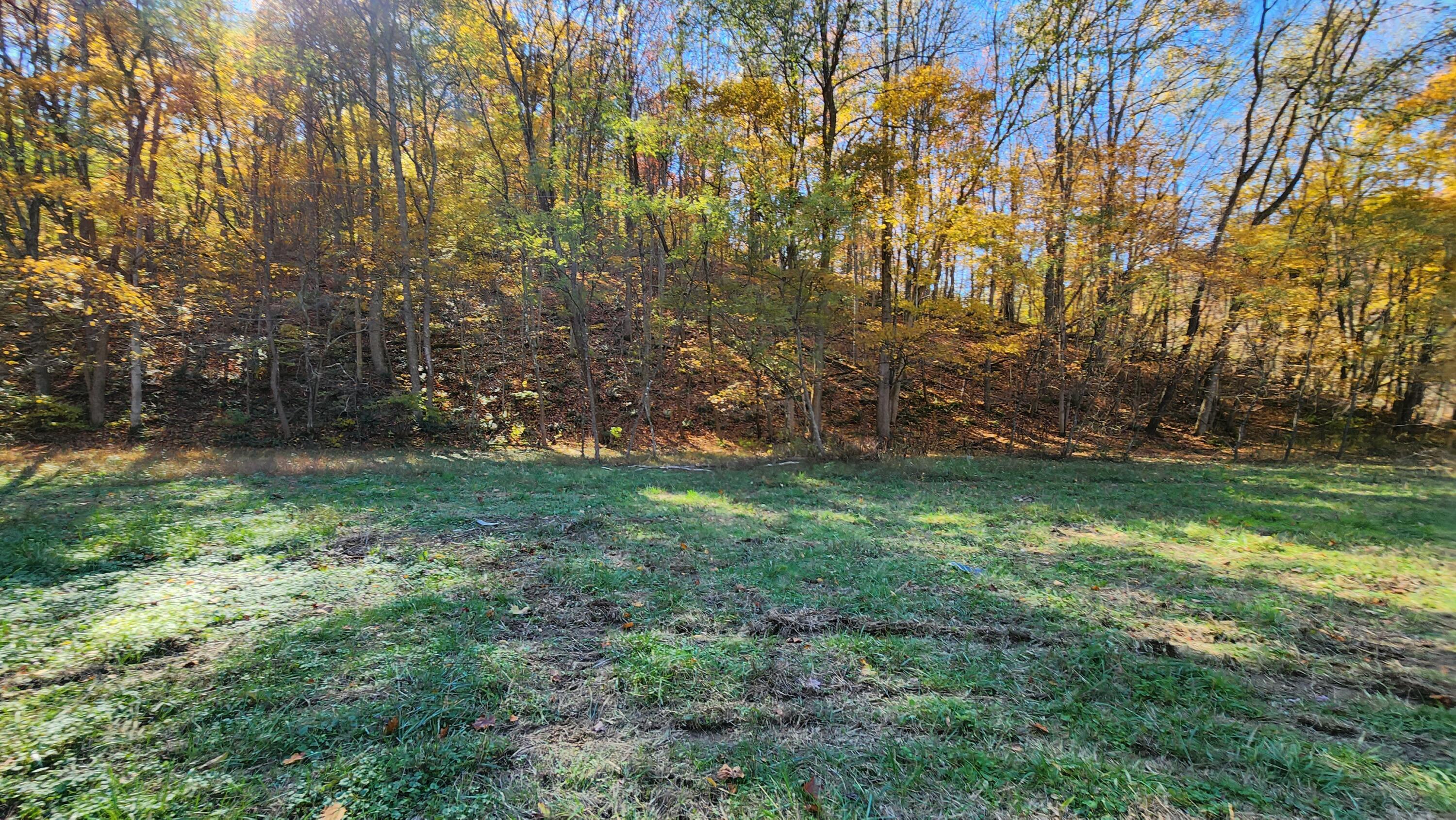 0 Vandergriff Road, Unit TRACT 6) South Bloomingville, OH 43152 - Photo 12 of 59 10