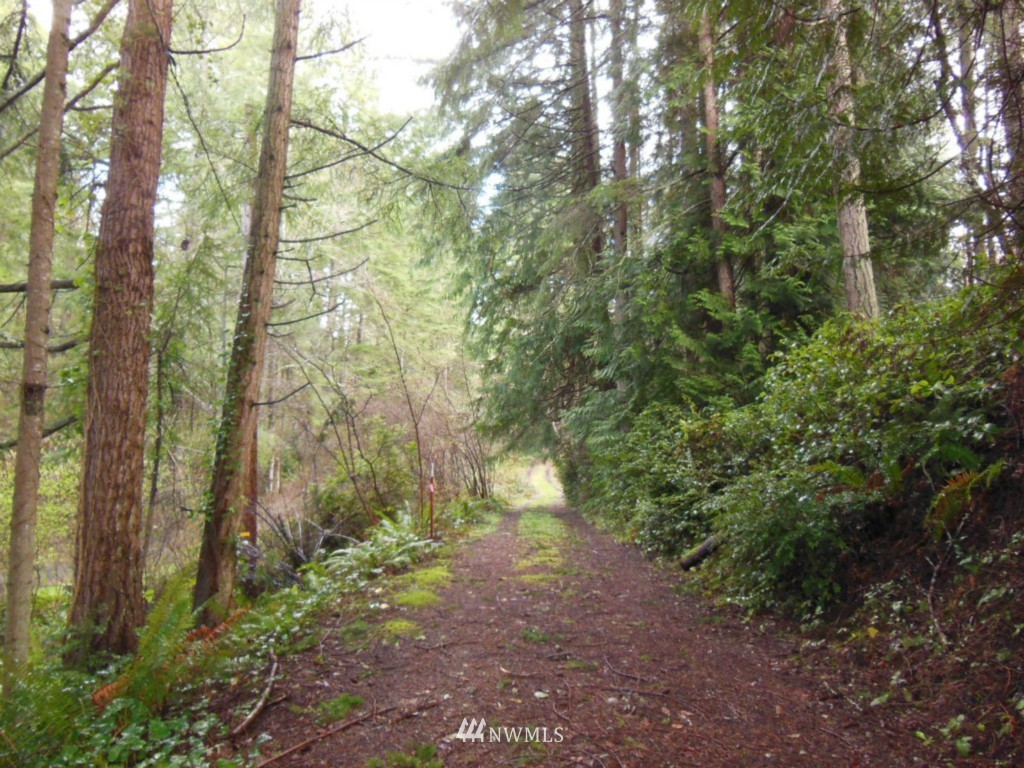 5224 Mahncke Road Southwest Longbranch, WA 98351 - Photo 16 of 22 Gallery Image 16