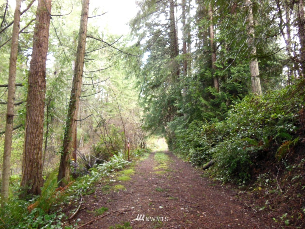 5224 Mahncke Road Southwest Longbranch, WA 98351 - Photo 21 of 22 Gallery Image 21