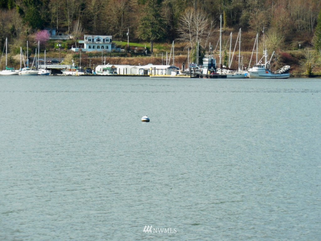 5224 Mahncke Road Southwest Longbranch, WA 98351 - Photo 5 of 22 Gallery Image 5